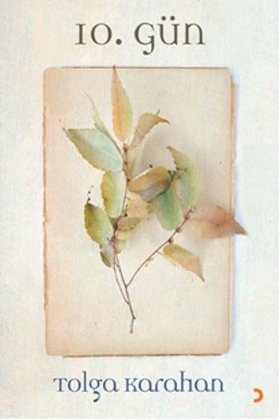 10. Gün
