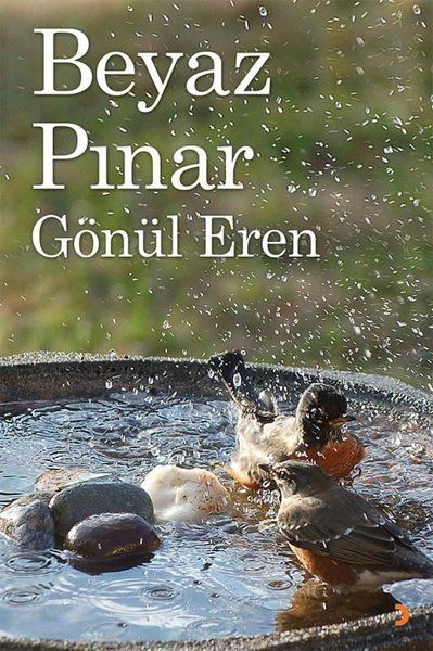 Beyaz Pınar