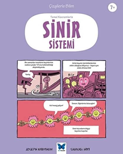 Temel Kavramlarla Sinir Sistemi