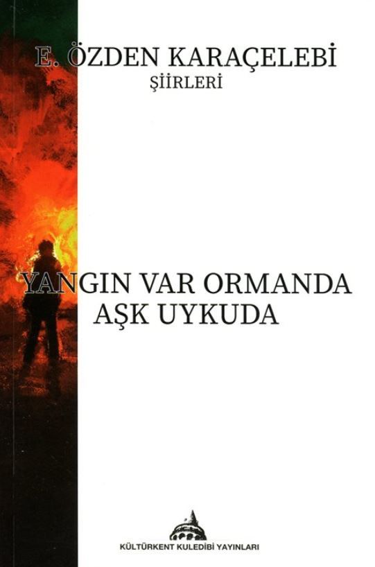 Yangın Var Ormanda Aşk Uykuda