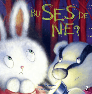 Bu Ses de Ne?