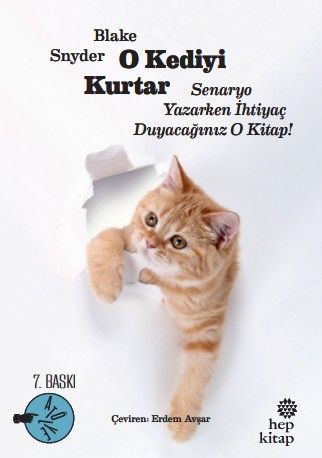 O Kediyi Kurtar: Senaryo Yazarken İhtiyaç Duyacağınız O Kitap!
