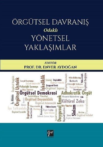 Örgütsel Davranış Odaklı Yönetsel Yaklaşımlar