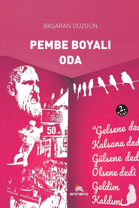 Pembe Boyalı Oda