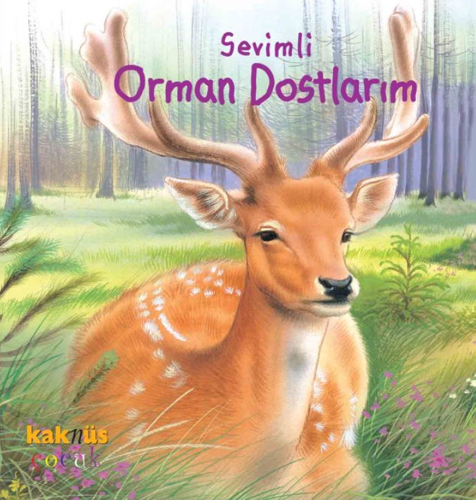 Sevimli Orman Dostlarım