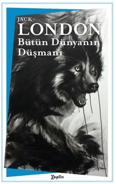 Bütün Dünyanın Düşmanı