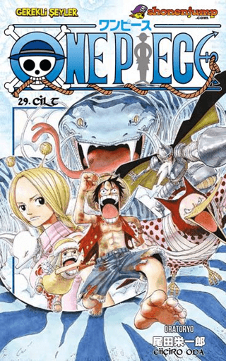 One Piece Cilt: 29