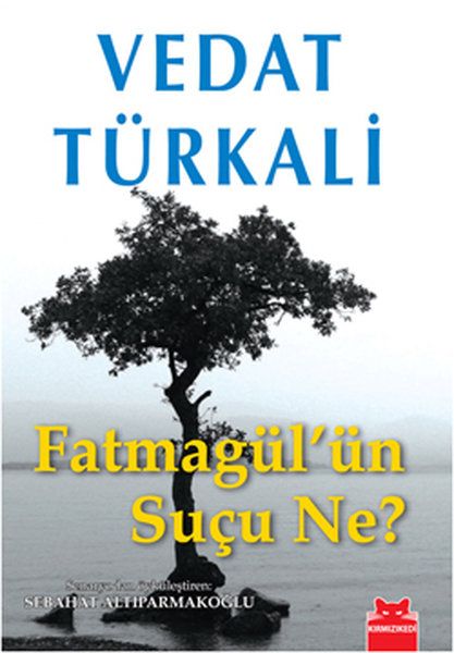 Fatmagül’ün Suçu Ne?