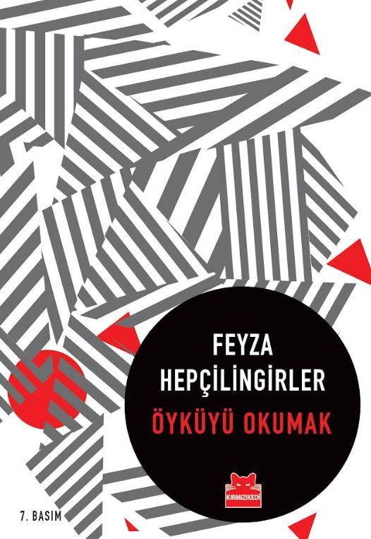 Öyküyü Okumak