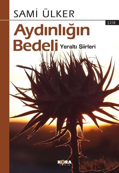 Aydınlığın Bedeli