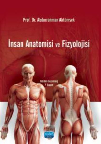 İnsan Anatomisi ve Fizyolojisi