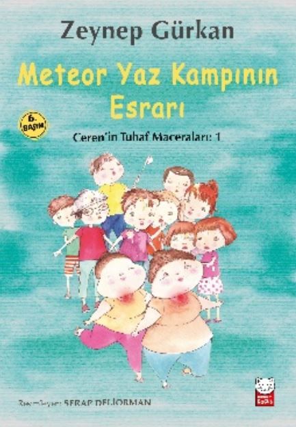 Meteor Yaz Kampının Esrarı
