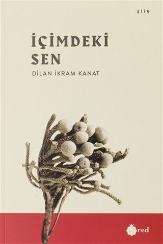 İçimdeki Sen