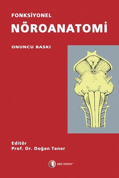 Fonksiyonel Nöroanatomi