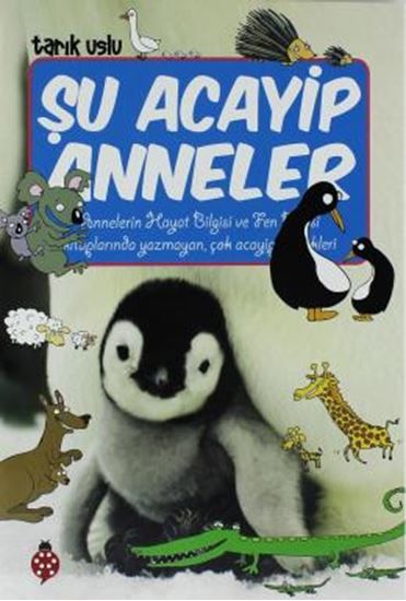 Şu Acayip Anneler