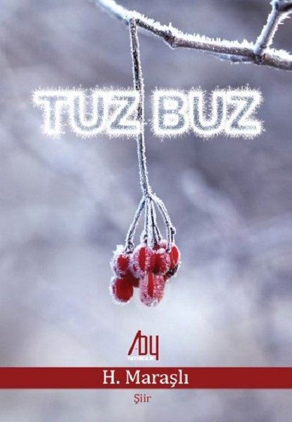 Tuz Buz