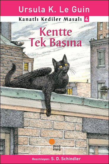 Kanatlı Kediler Masalı 4 - Kentte Tek Başına
