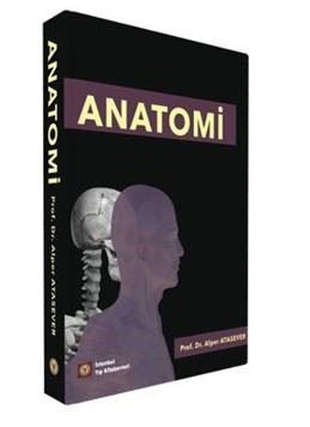 Anatomi