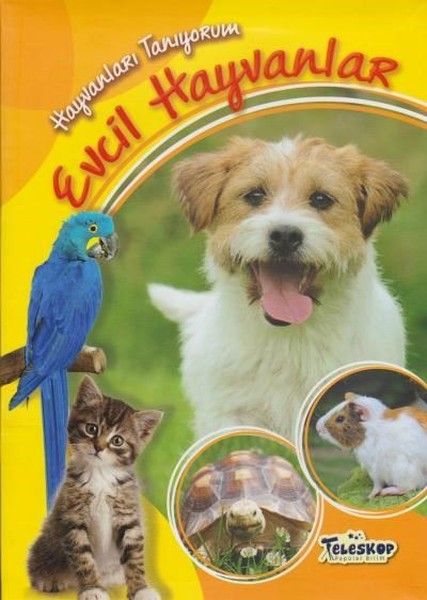 Hayvanları Tanıyorum - Evcil Hayvanlar