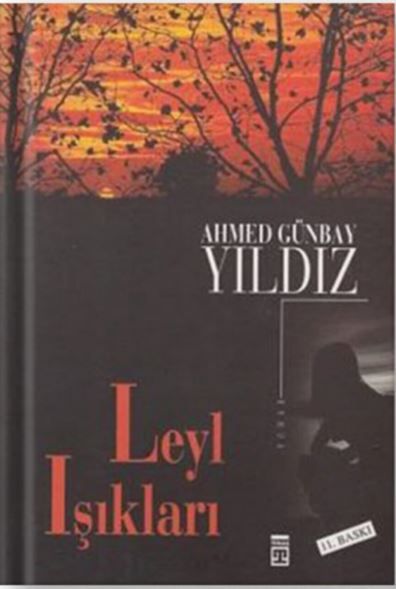 Leyl Işıkları