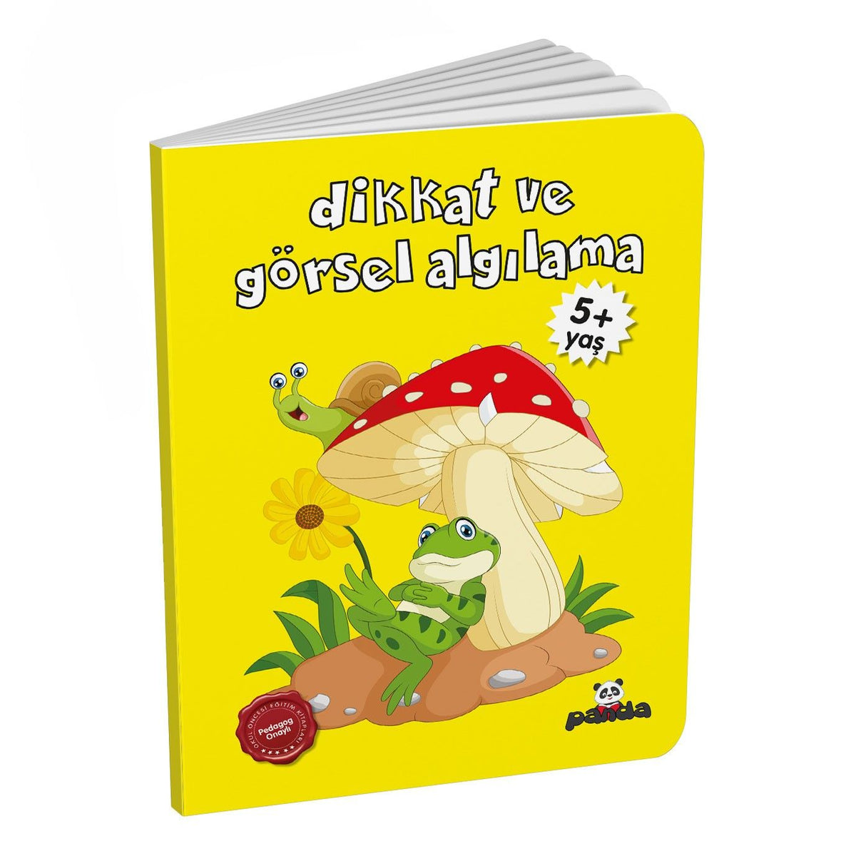 Dikkat ve Görsel Algılama +5 Yaş