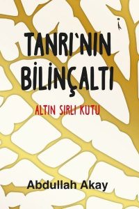 Tanrı'nın Bilinçaltı - Abdullah Akay kitap kapağı