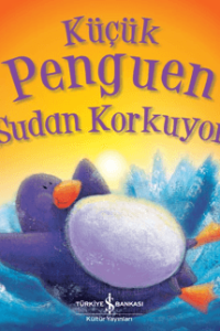 617bfe5384ba4094bea8aadf71d9bc0c_front-1.png